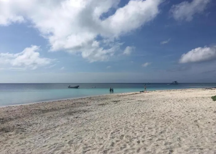 Paraiso 1